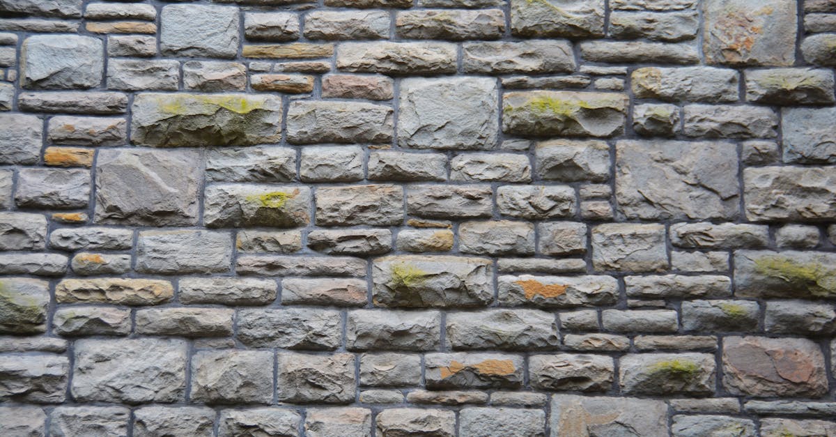 Importance of Regular Inspections for Cavity Walls