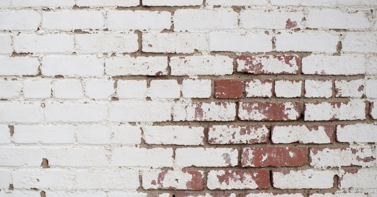 The Role of Damp Proofing in Cavity Wall Insulation Installation